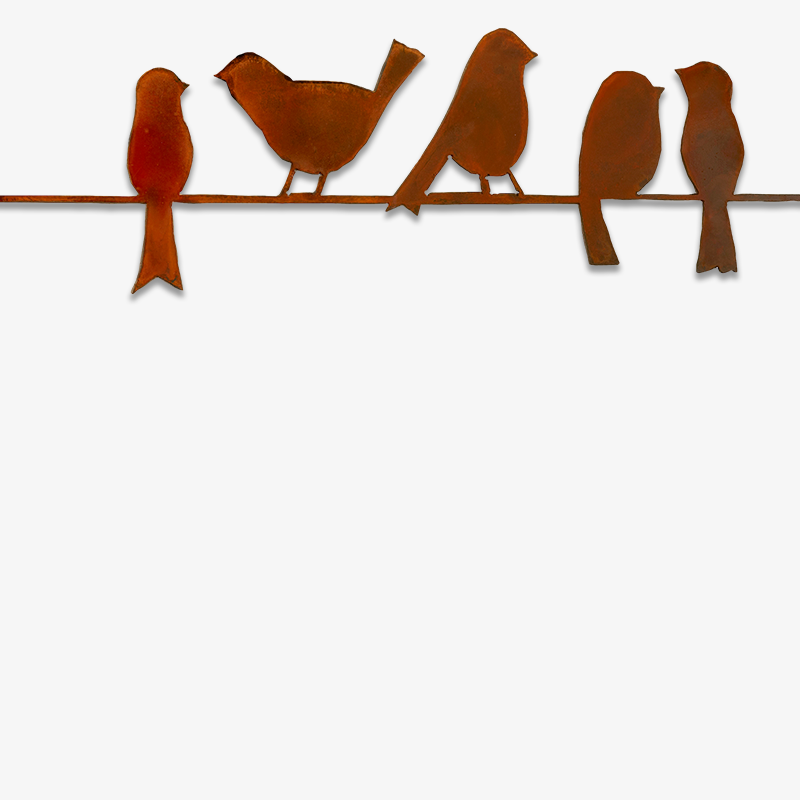 5 Birds On A Wire