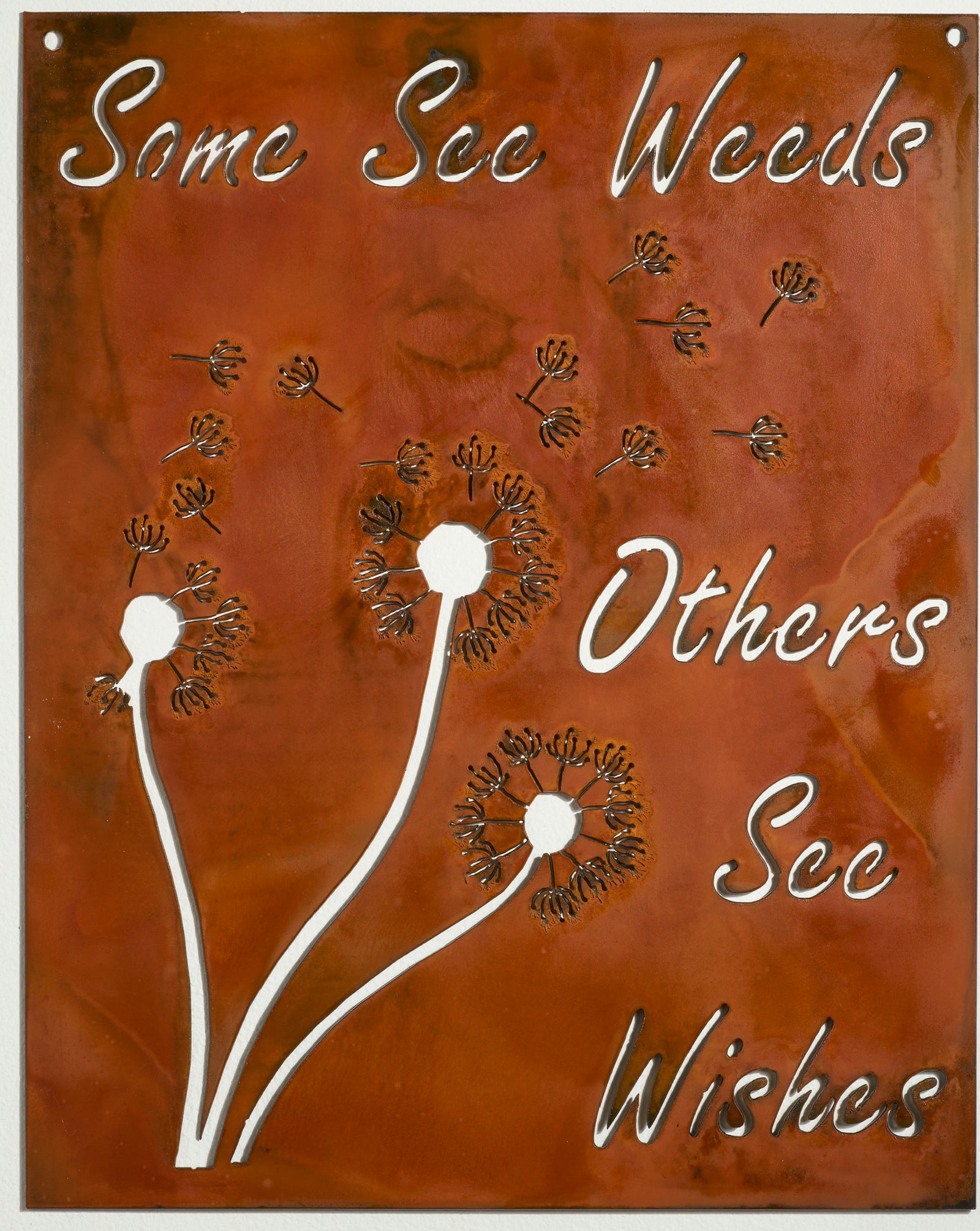 Some See Wishes Metal Plaque